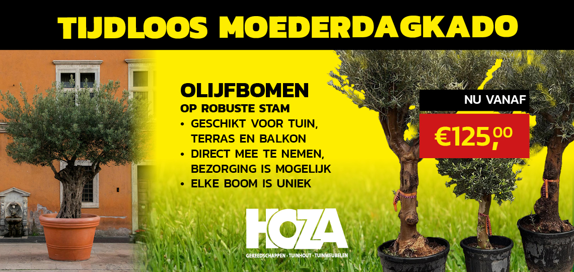 BEVRIJDINGSDAG