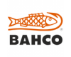 Bacho