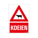 BORD KOEIEN 230X330 MM