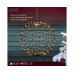 MICRO LED BAL LIGHT METAAL STEADY BUITEN DIA 28 CM