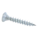 SCHROEFJES ZAKJE SCHROEVEN 2,5X15MM