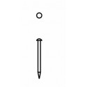 NAILS ST.STEEL 1.6X25MM 55PC