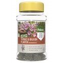 POKON TERRAS & BALKON PLANTEN VOEDINGSKEGELS 40ST