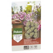 POKON TERRAS & BALKON PLANTEN LANGWERKENDE VOEDINGSKEGELS 10ST