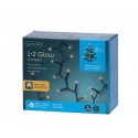 KAEMINGK LED 1-2 GLOW COMPACT LIGHTS STEADY BUITEN 540L