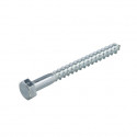 HOUTDRAADBOUT VZ 4.6 SW-17 DIN571 10X160 (50)