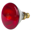 INFRAROOD WARMTELAMP PAR ROOD 175W OP=OP INFRAROOD WARMTELAMP PAR ROOD 175W OP=OP