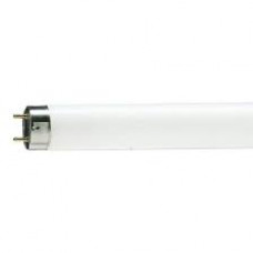 TL-LAMP 18W 590 MM KOEL-WIT KLEUR-33/640 OP=OP TL-LAMP 18W 590 MM KOEL-WIT KLEUR-33/640 OP=OP