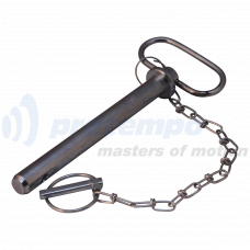 PEN VOOR GATENBALK MET KETTING Ø19 165MM PEN VOOR GATENBALK MET KETTING Ø19 165MM