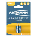 ALKALINE BATTERIJEN BIG FIVE X-POWER ALKALINE BATTERIJ MINI AAAA