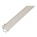 HOEKPROFIEL,PVC,WIT,40X10X2/1M