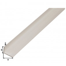 HOEKPROFIEL,PVC,WIT,30X20X3/2M