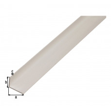 HOEKPROFIEL,PVC,WIT,20X10X1,5/2M
