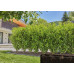 GARDENA DRUPPELBUIS ONDER&BOVENGRONDS 50M