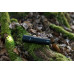 ZAKLAMP LED ZAKLAMP M250F OP BATTERIJEN ZAKLAMP LED ZAKLAMP M250F OP BATTERIJEN
