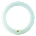 RONDE TL 32W/840 TLE COOLWHITE PHILIPS 4000K