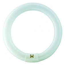 RONDE TL 32W/840 TLE COOLWHITE PHILIPS 4000K RONDE TL 32W/840 TLE COOLWHITE PHILIPS 4000K