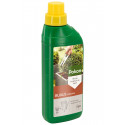 POKON BUXUS VOEDING 500ML